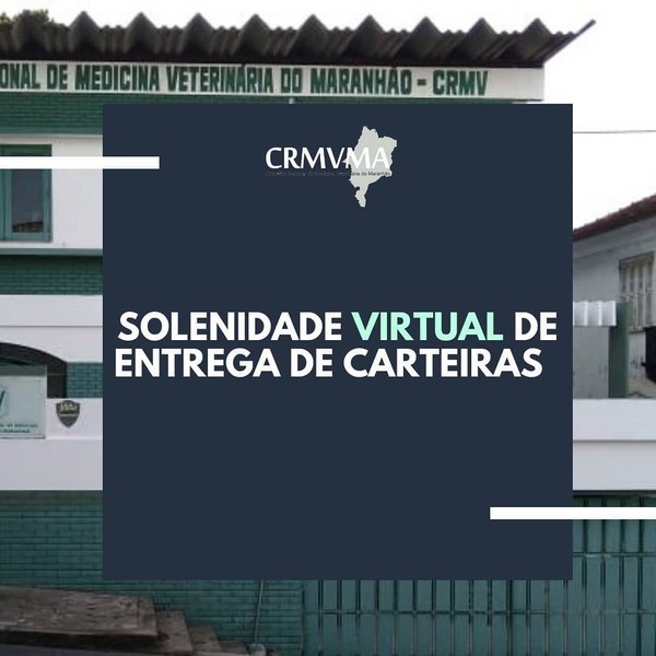 solenidade virtual de entrega de carteiras (1)