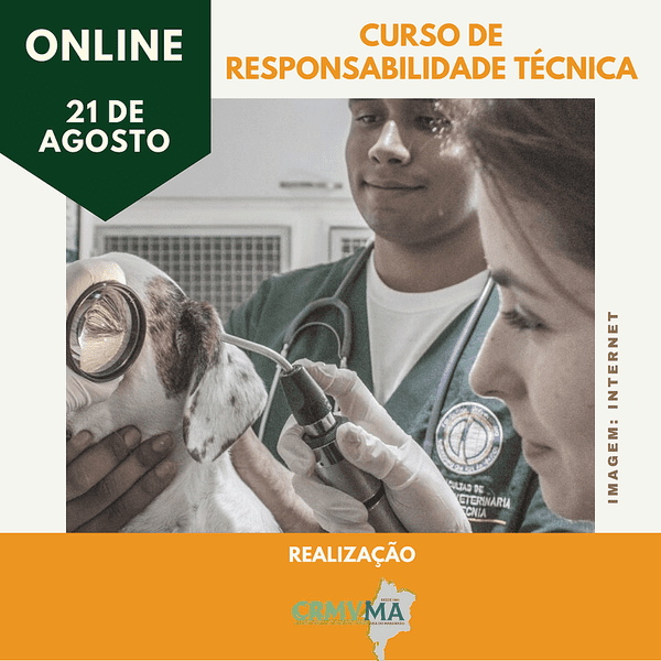 curso rt online