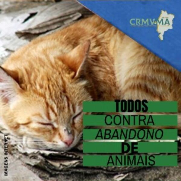 campanha dezembro verde