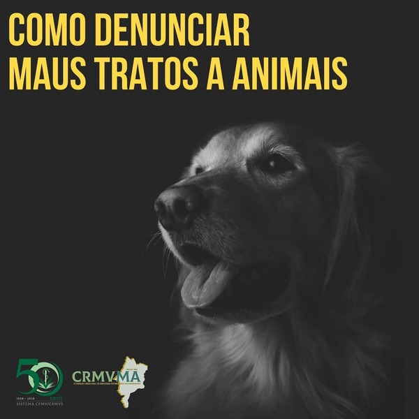 crimes de maus tratos (1)