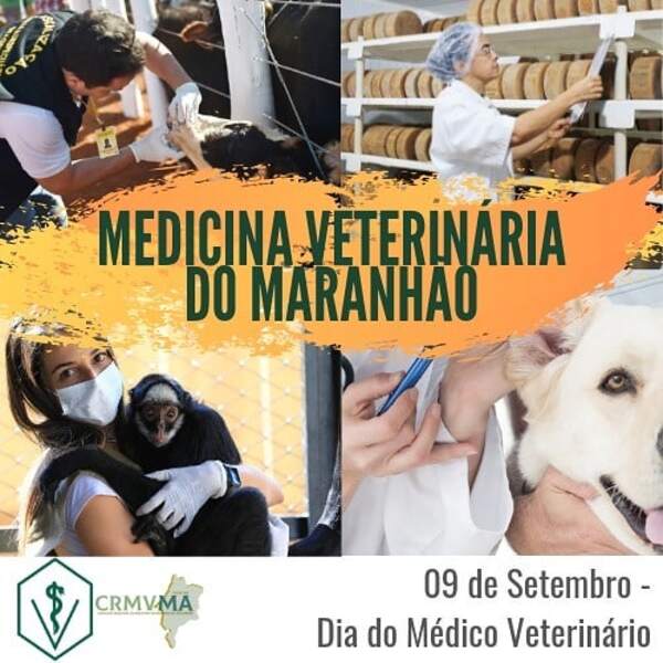 medico veterinário 2019 (1)