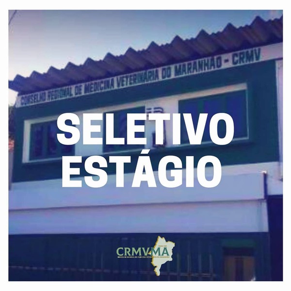seletivo estágio 2019 (1)