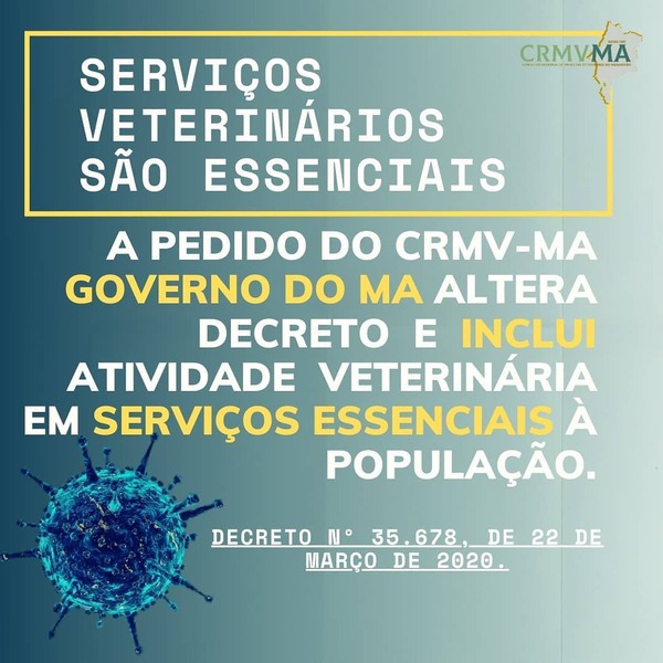 serviços veterinários (1)