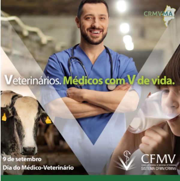 vet