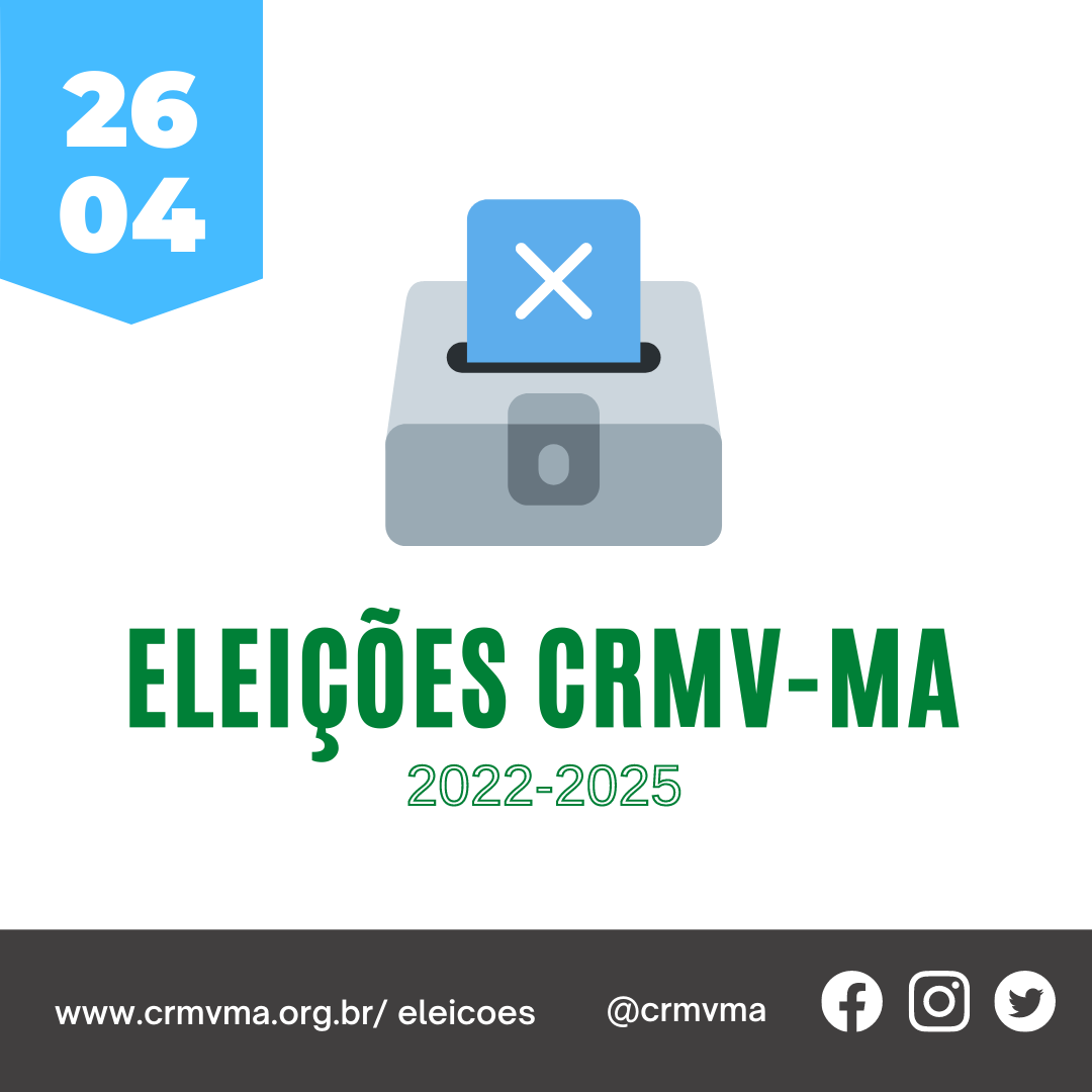 ELEIÇÕES 2022 - FEED (1)