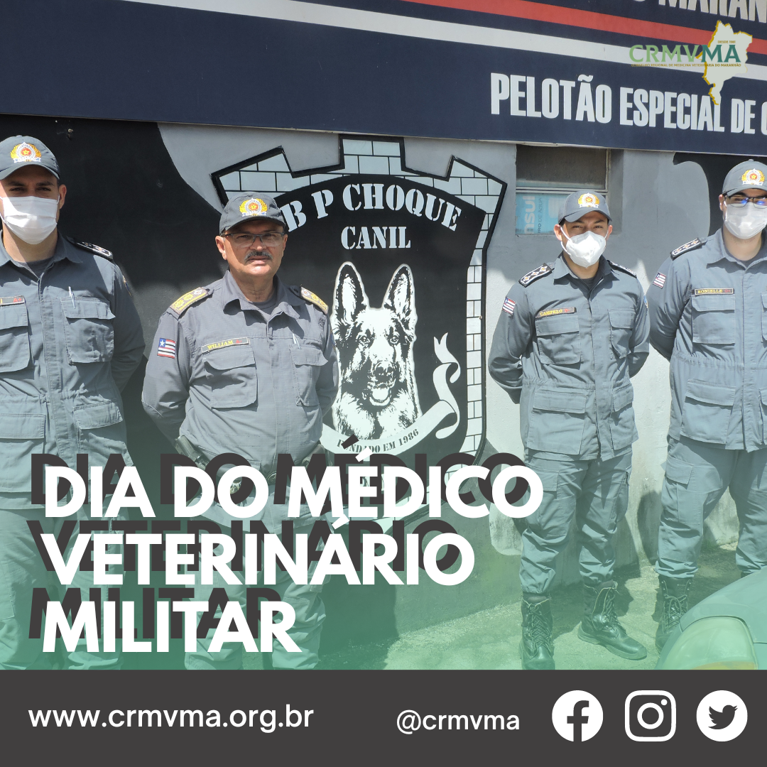 DIA DO MEDICO VET MILITAR