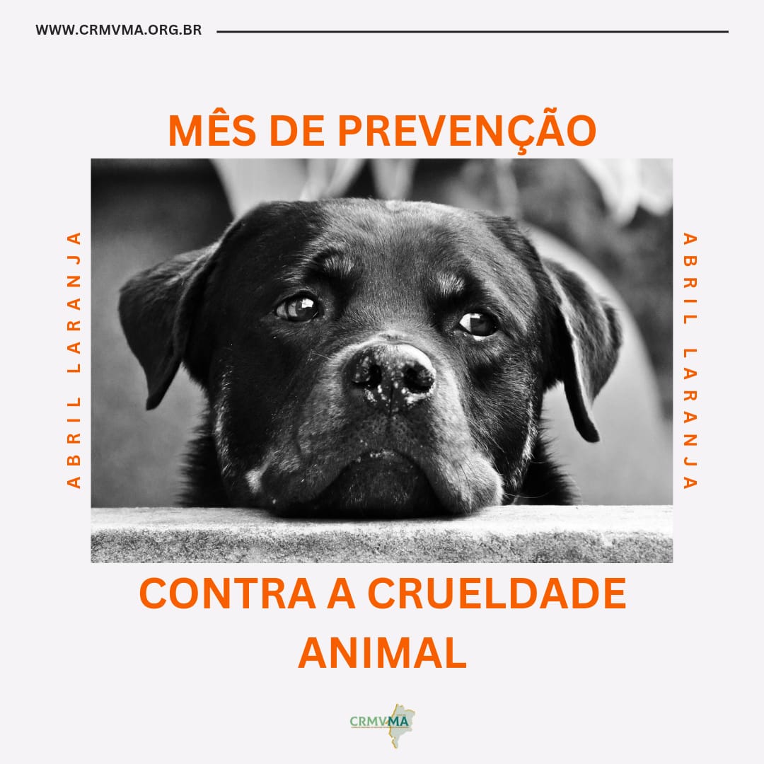 animais