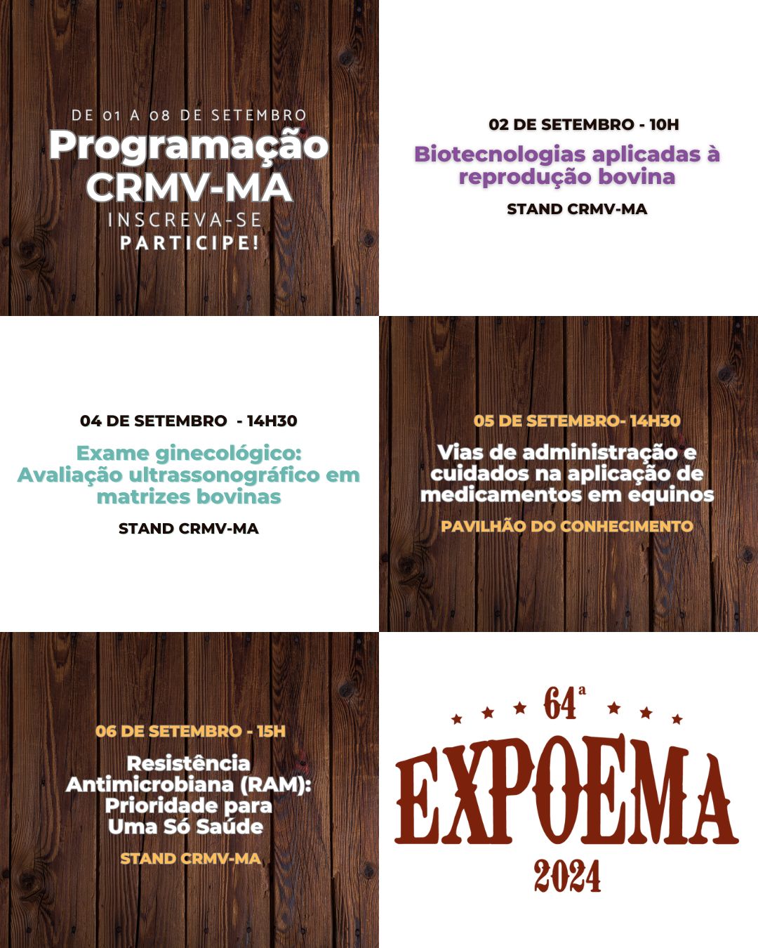 CRMV-MA abre inscrições para curso de RT e palestras na 64ª Expoema