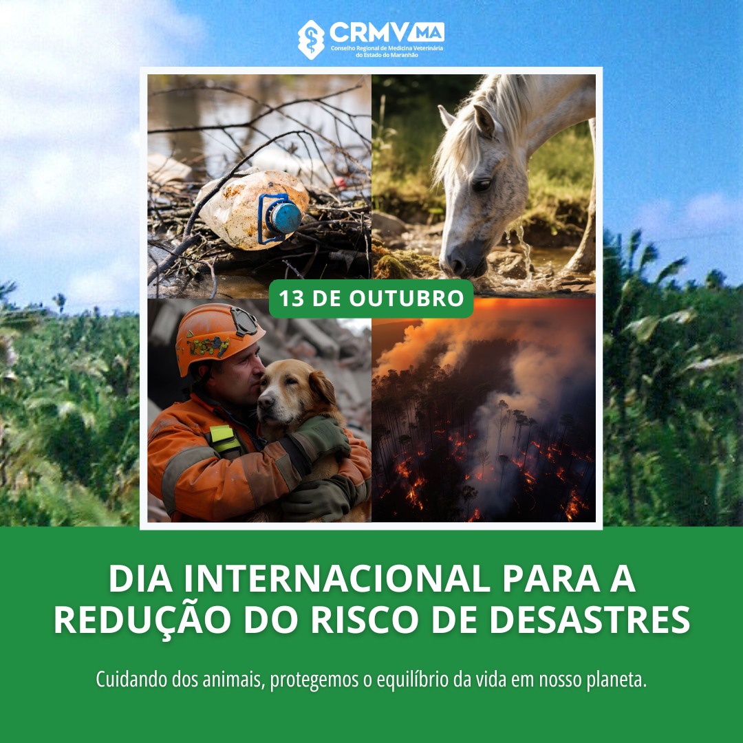 CRMV-MA celebra Dia Internacional para a Redução do Risco de Desastres