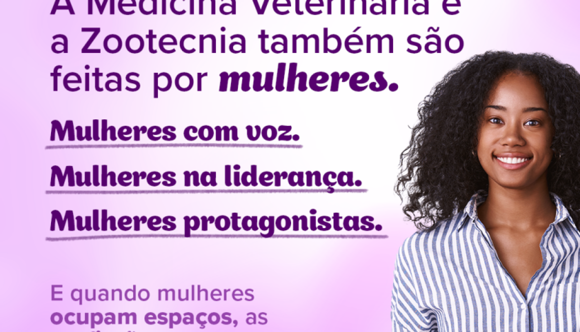 carrossel-dia-da-mulher_01