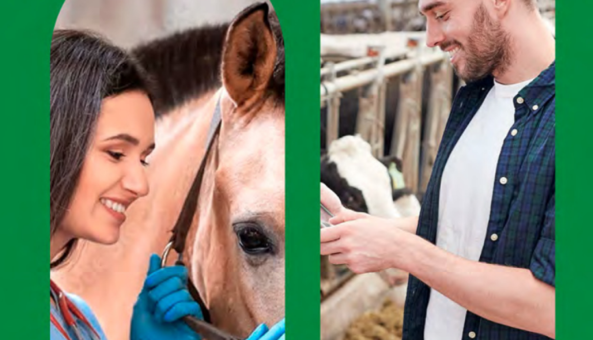 Relatório de Gestão CRMVMA 2024.pdf