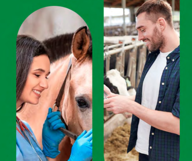 Relatório de Gestão CRMVMA 2024.pdf