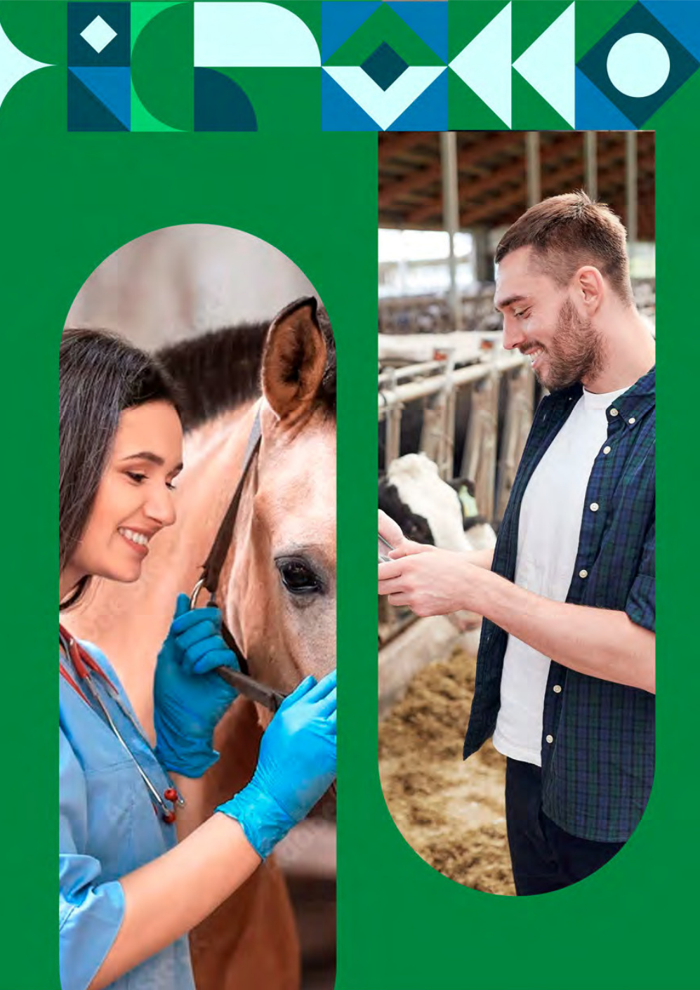 Relatório de Gestão CRMVMA 2024.pdf