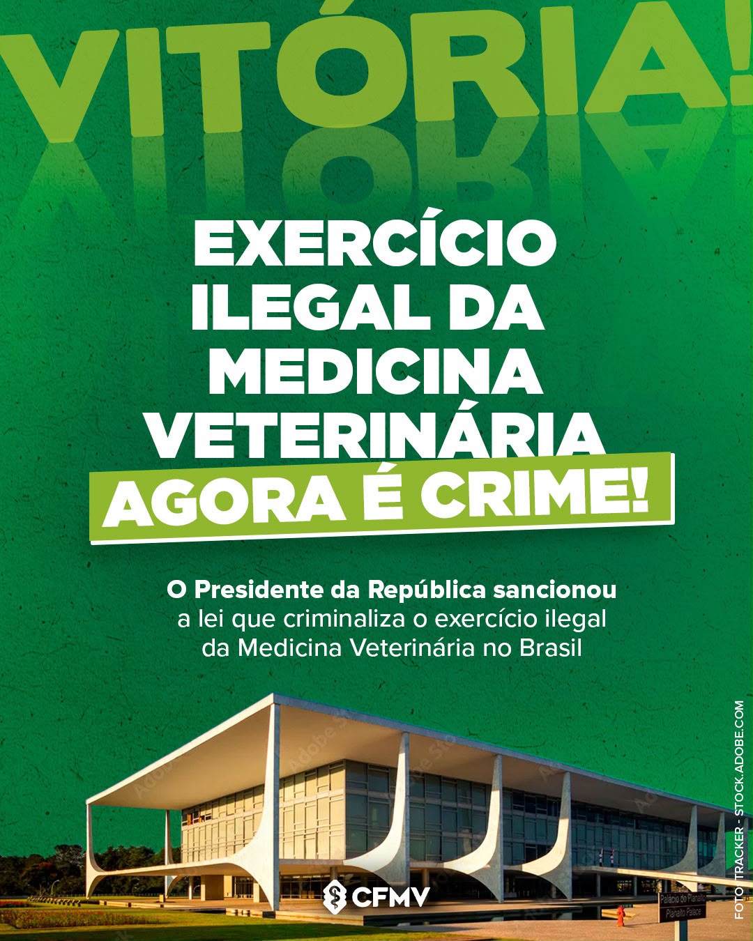 exercíicio_ilegal_medvet