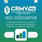 crmvma_em_numeros_2026