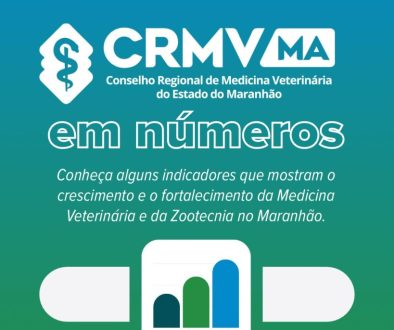 crmvma_em_numeros_2026