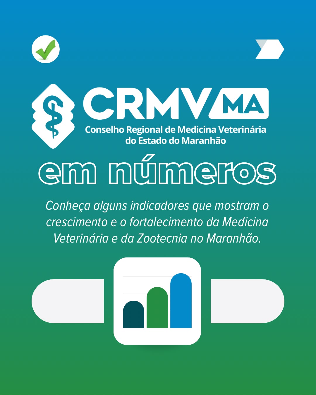 crmvma_em_numeros_2026
