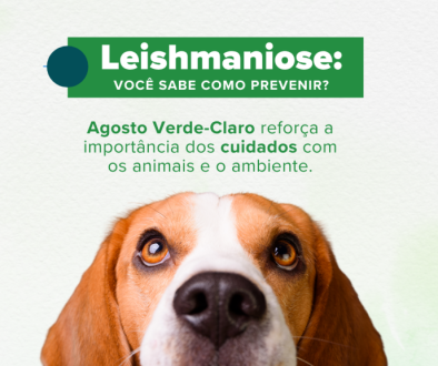 LAYOUT - CAPA (SITE) (1)