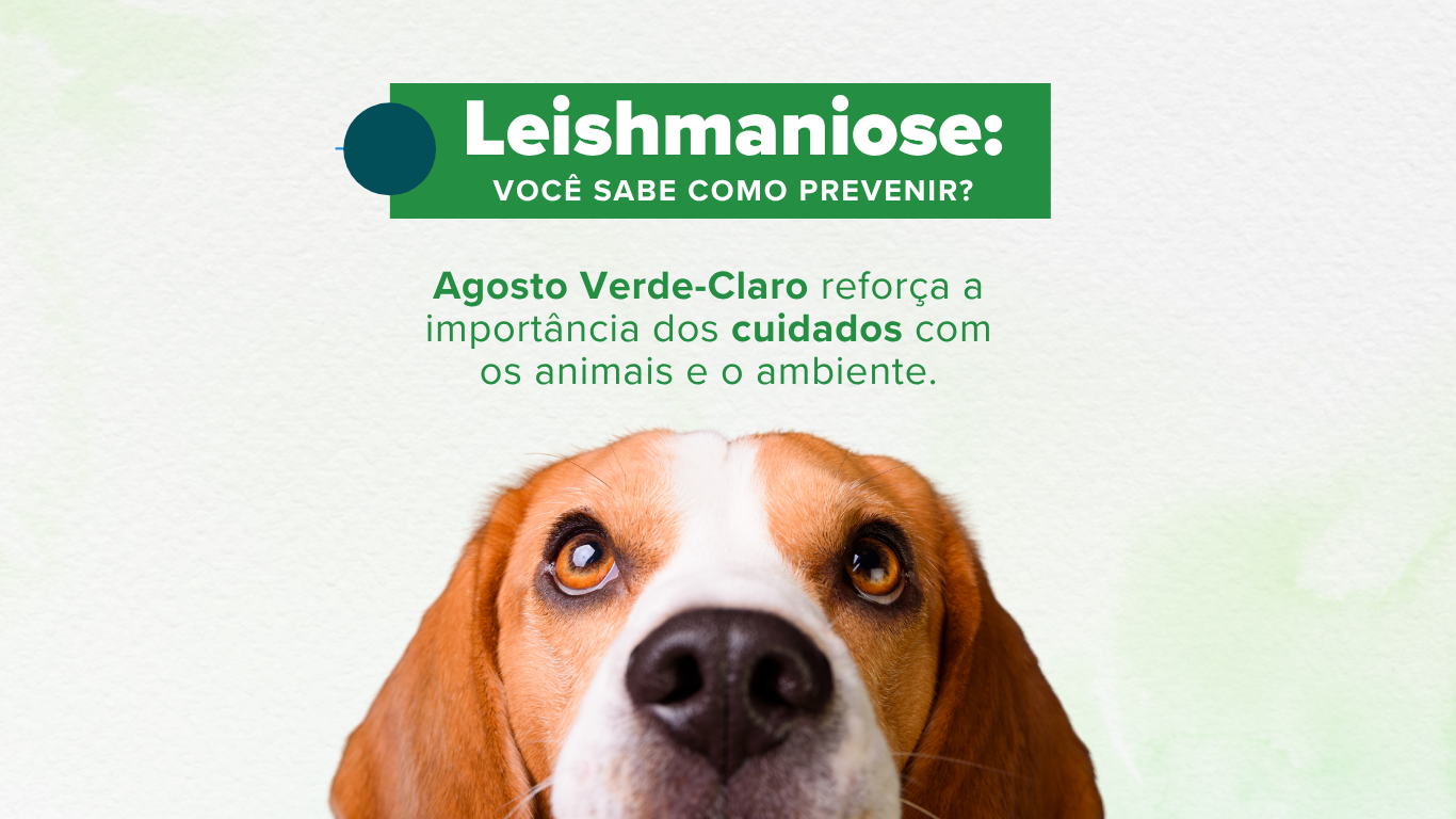LAYOUT - CAPA (SITE) (1)