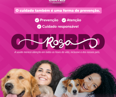 OUT ROSA 2026